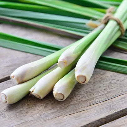 Organic Lemongrass 20g (Local delivery only)